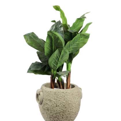 Artificial Plants & Trees