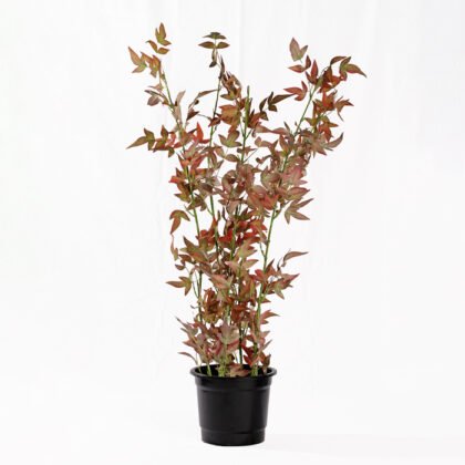 Artificial Maple Tree