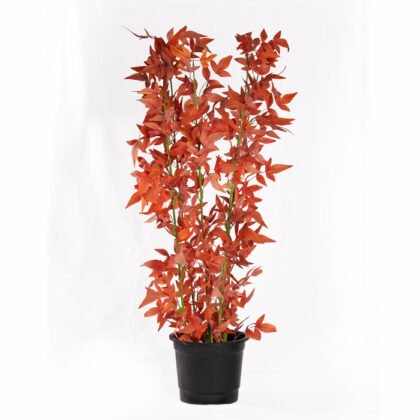 Artificial Maple Tree