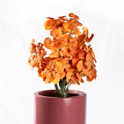 Artificial Peperomia Watermelon