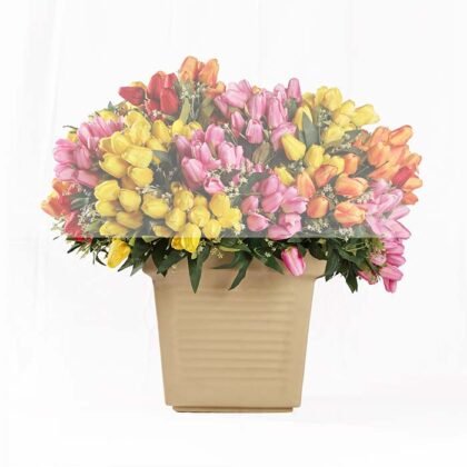 Beige Acrylic Square Pot