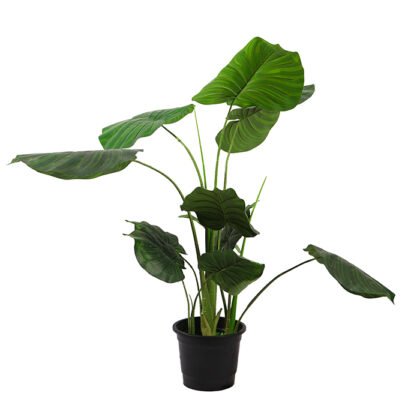 Artificial Alocasia Tree