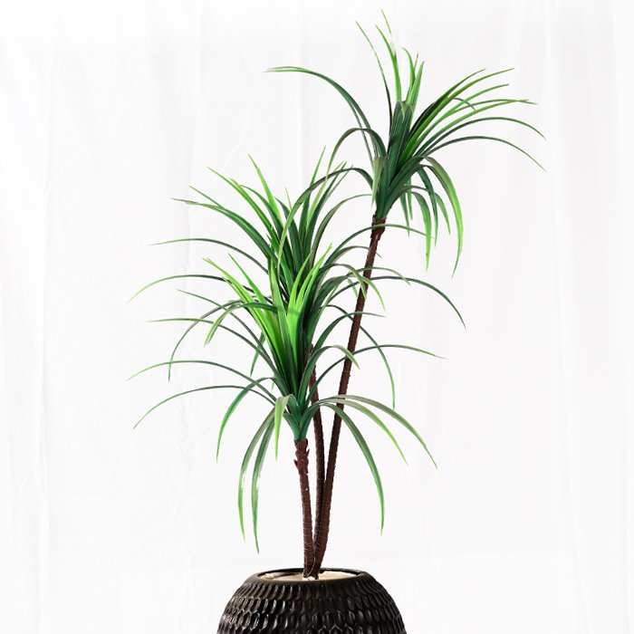 Artificial Dragon Tree