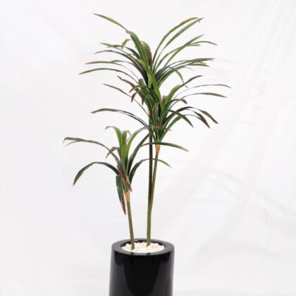 Artificial Dragon Tree