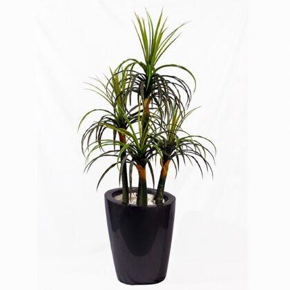 Artificial Dracaena Marginata Dragon Tree