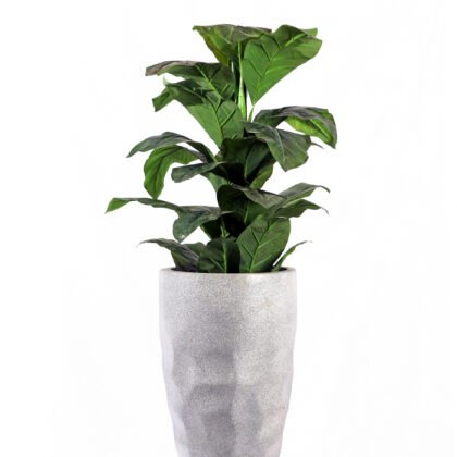 artificial ficus elastica tree