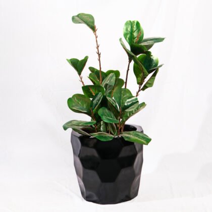 Artificial Ficus Plant
