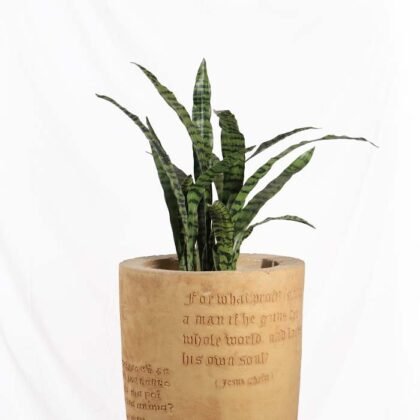 Artificial Snake Plant