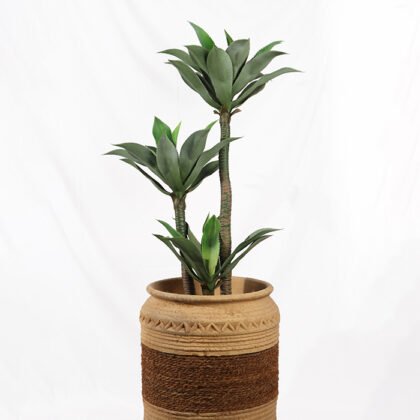 atrficial dracaena compacta