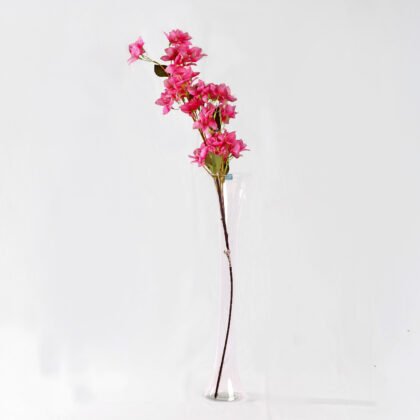 Bolognese Rose (95cm)