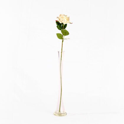 White Whisper Rose (60cm)