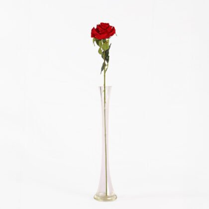 White Whisper Rose (60cm)