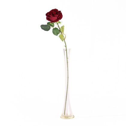 Uri Rose (60cm)