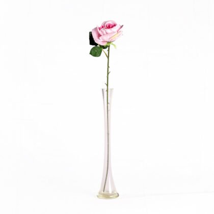 Uri Rose (60cm)