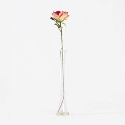 Uri Rose (60cm)