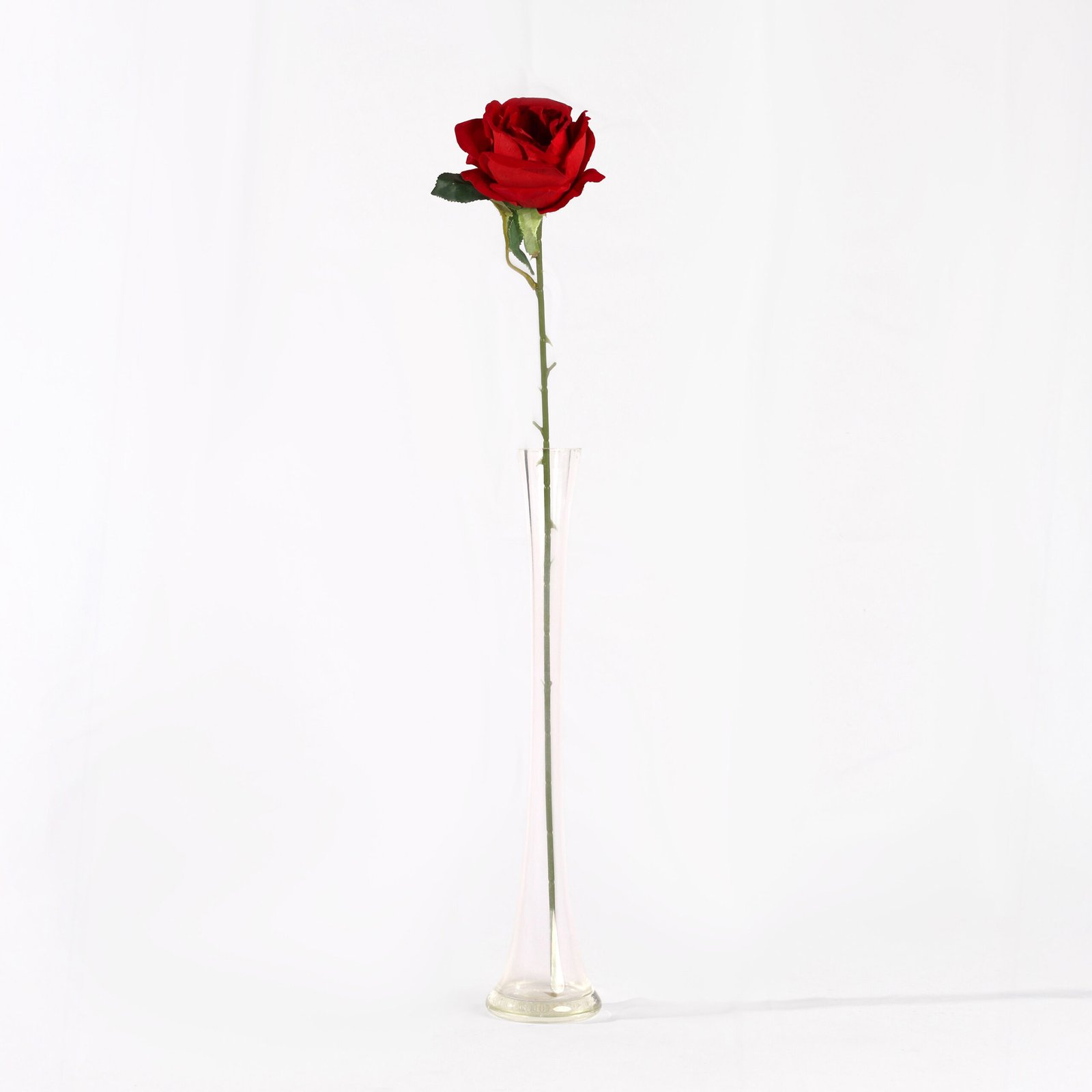 Uri Rose (60cm)