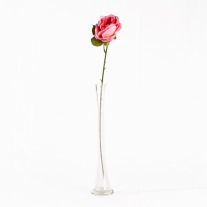 Uri Rose (60cm)