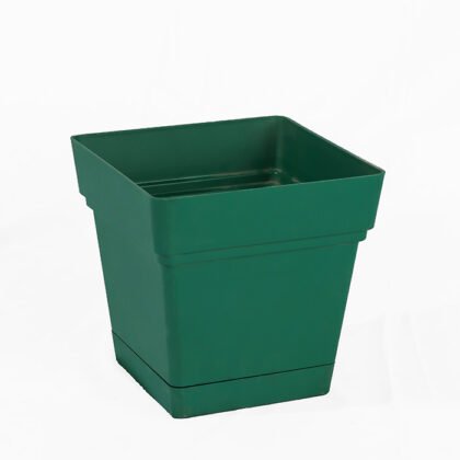 Square Plastic Pot – Green