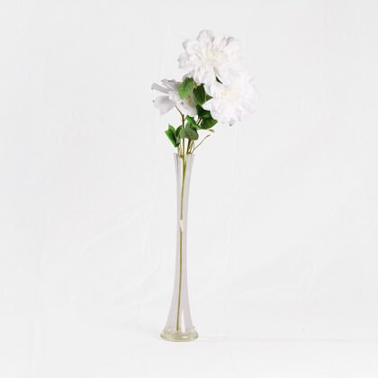 Queen Rose (65cm)