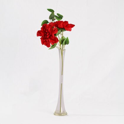 Queen Rose (65cm)