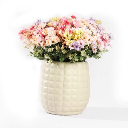 Carnation Rose Colors