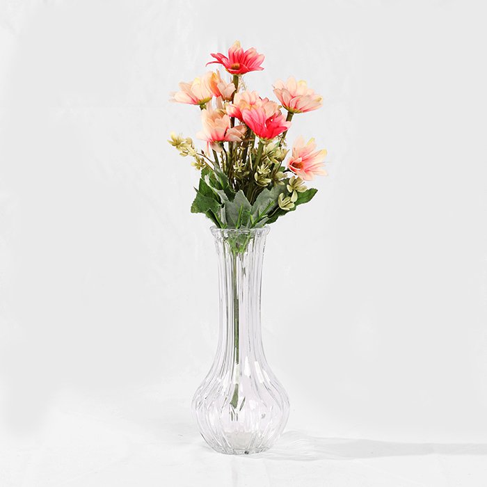 Carnation Rose Colors