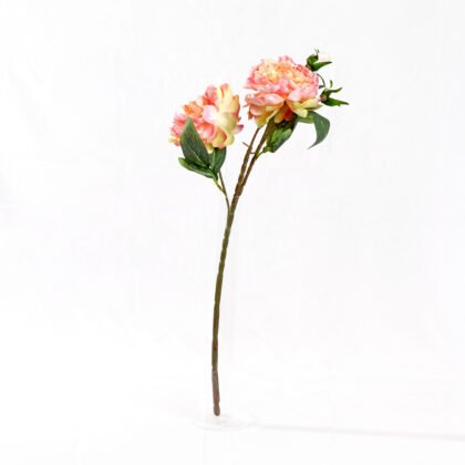 Heaven Rose (60cm)