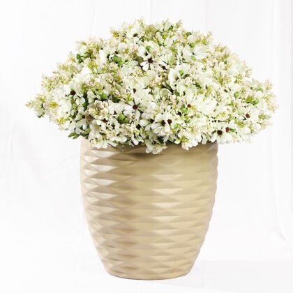 Morning Whispered Rose