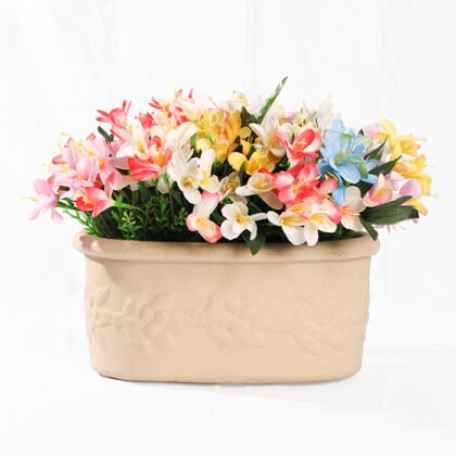 Rose Whispers of Colors