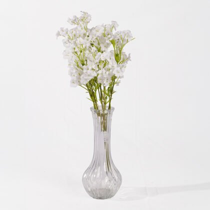 Royal White Rose (28cm)