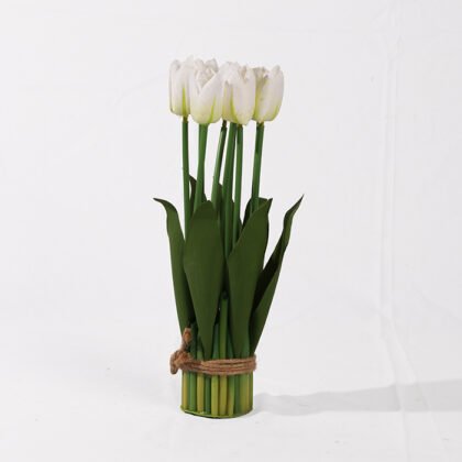 Large Tulip Rose (30 cm)