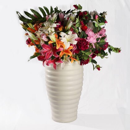 Layalim Rose (80 cm)