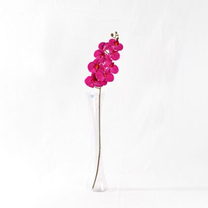 Orchid Rose (75cm)