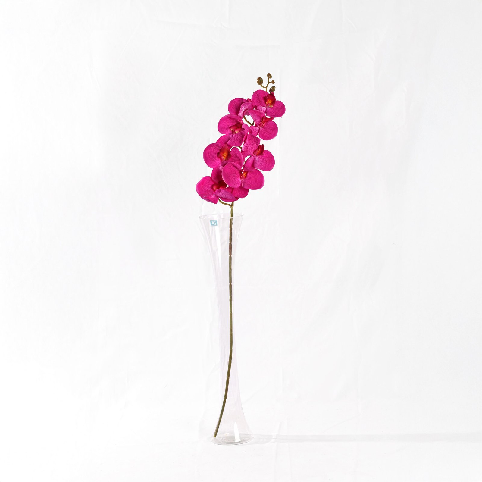 Orchid Rose (75cm)