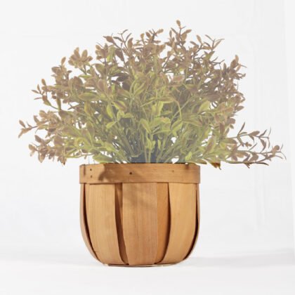 Round Wooden Dwarf Pot