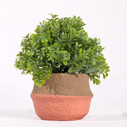 Dwarfs the Imagination