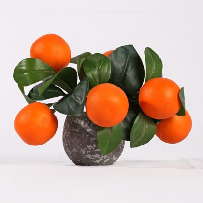Dwarf Orange