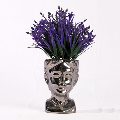 Dwarf Dracaena Roses