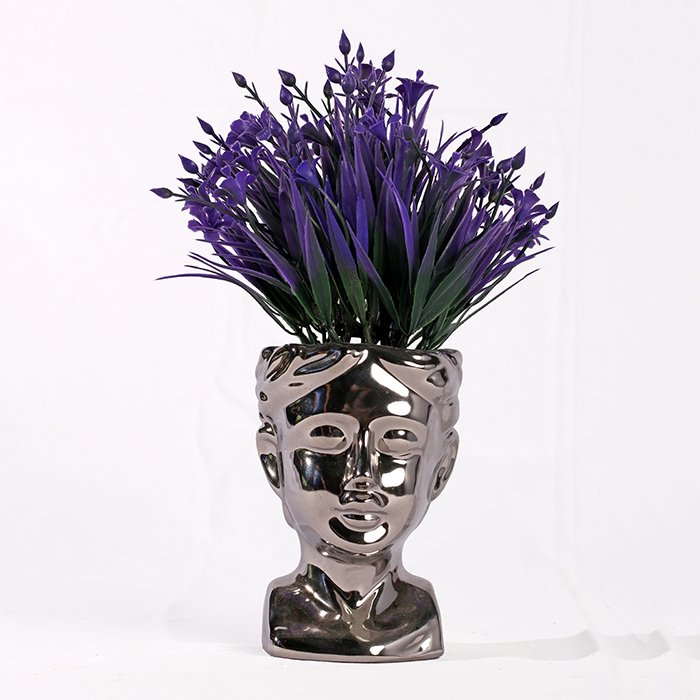 Dwarf Dracaena Roses