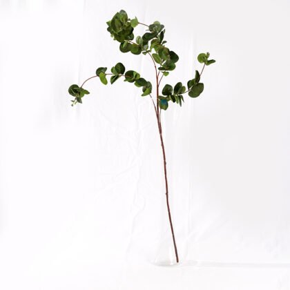 Eucalyptus Branch (90 cm)