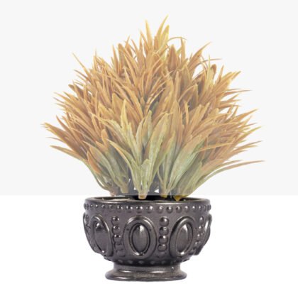 Didis Porcelain Dwarf