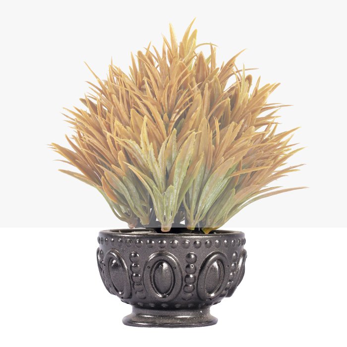 Didis Porcelain Dwarf