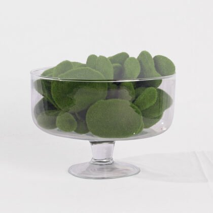 Glass Plate for Rose