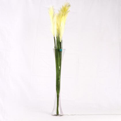 Feather Colors Branch