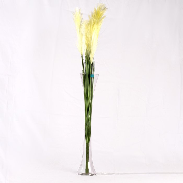 Feather Colors Branch