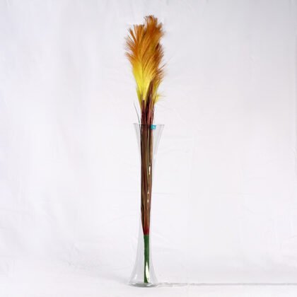 Feather Colors Branch