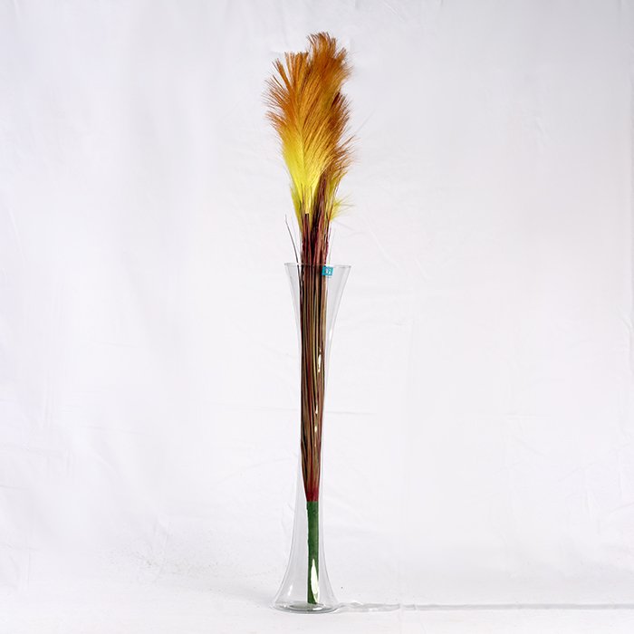 Feather Colors Branch
