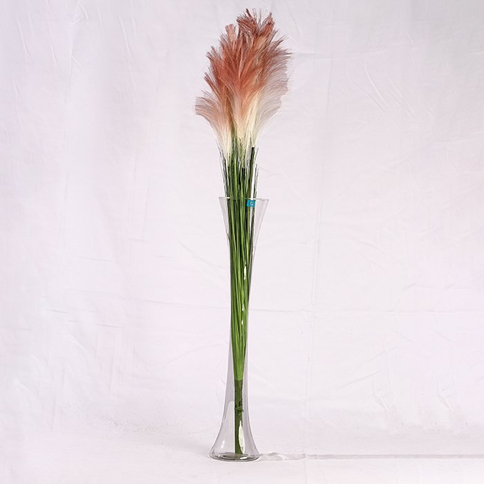 Feather Colors Branch