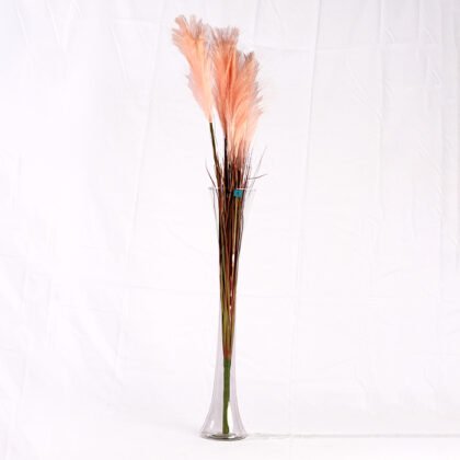 Feather Colors Branch