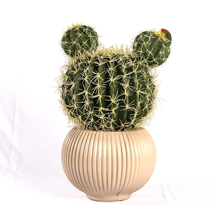 Fun Cactus
